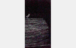 22 juin 2017 - Voyage régional à DOUE la Fontaine