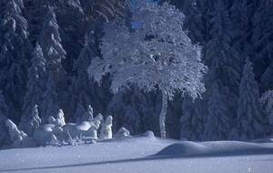 Pour  2021, à tous, bonne santé et heureuse année