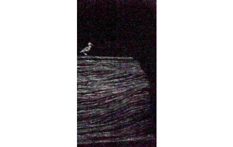 22 juin 2017 - Voyage régional à DOUE la Fontaine