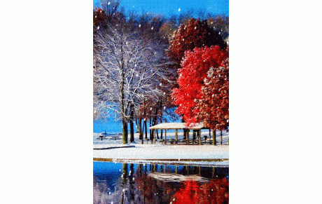 Bonne et heureuse Année 2019