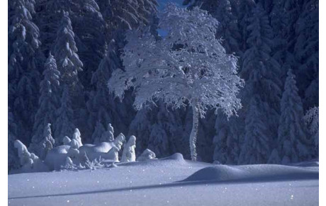 Pour  2021, à tous, bonne santé et heureuse année