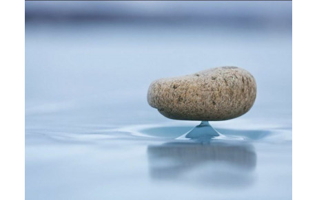 2022 - Nouvelle année !