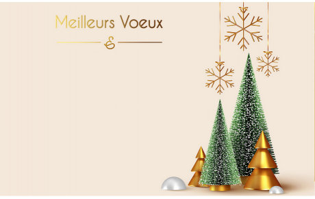 Tous nos Meilleurs Vœux pour l'année 2026